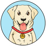 Telegram profile photo for $TITO Portal