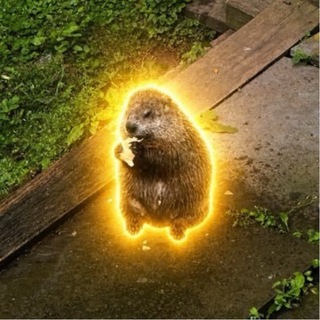 Telegram profile photo for $JEFF Portal