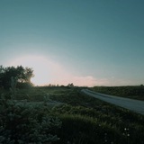 Telegram profile photo for Исчезающие виды Вязников.