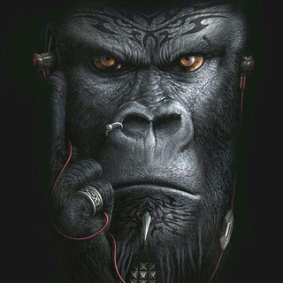 Telegram profile photo for Gorila gifts🐒