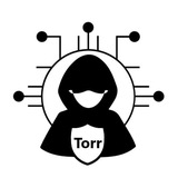 Telegram profile photo for Torr Security School 'News'