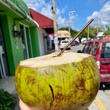 Telegram profile photo for Rent🏖Cancun☀️Mexico🇲🇽