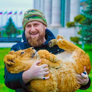 Telegram profile photo for Жизнь жывотных 🐍
