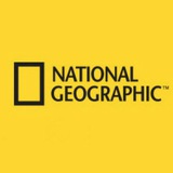 Telegram profile photo for National Geographic