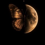 Telegram profile photo for آلاچیق خاطره انگیز🦢🌱