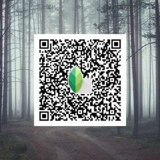 Telegram profile photo for Snapseed Presets