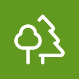 Telegram profile photo for Родословник - удобный и недорогой сервис создания родословных книг