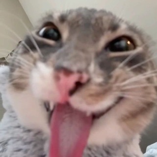 Telegram profile photo for всем Маруся я привет