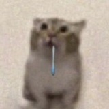 Telegram profile photo for барахолка pixiepeach