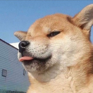Telegram profile photo for 熱度科技 稳定号商 盗号技术 引流技术 过人脸