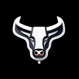Telegram profile photo for Bull Team