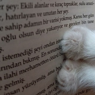 Telegram profile photo for arşiv