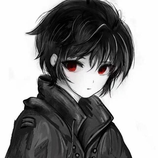 Telegram profile photo for 雾鱼直装官方频道