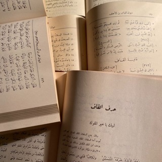 Telegram profile photo for منقاش | اللغة والأدب العربي