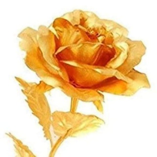 Telegram profile photo for قناة دروس المبتدئين الخاصة.