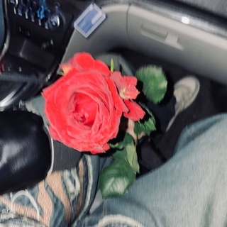 Telegram profile photo for شقآ