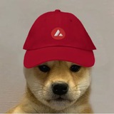 Telegram profile photo for dogwifhat on 🔺 avax