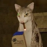 Telegram profile photo for Папка глупых приколов