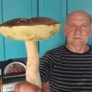 Telegram profile photo for Халява от Николаича