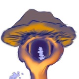 Telegram profile photo for Пук 🍄🔞 щп