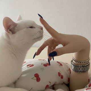 Telegram profile photo for U𝖓k𝖓o͢͢͢w𝖓