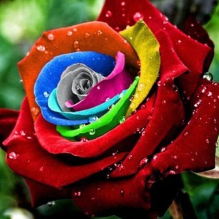 Telegram profile photo for کار هنرمندان و کدبانوهای گروه آشپزی بانوی شرقی