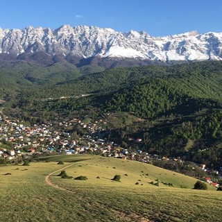 Telegram profile photo for کانال رسمی بنافت ، سنگده