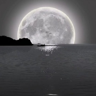 Telegram profile photo for مَرْفَأ