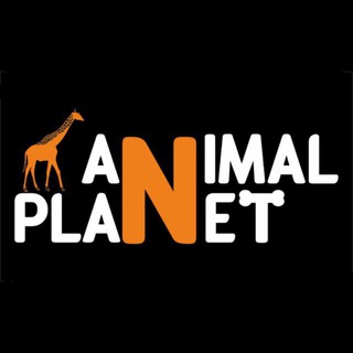 Telegram profile photo for AnimalPlaNet | ЗООМАГАЗИН ТАШКЕНТ