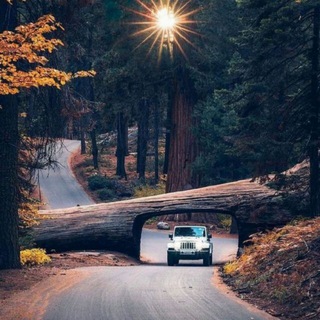 Telegram profile photo for 🧿🚗 اتوگالری امین 🚗🧿
