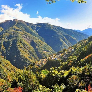 Telegram profile photo for 心清自明