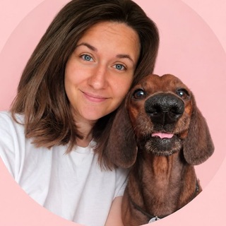 Telegram profile photo for Bryusedog
