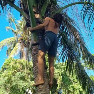 Telegram profile photo for COREAN TARZAN