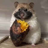 Telegram profile photo for конфетный переулок