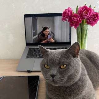 Telegram profile photo for Математика с комфортом 🫶🏻