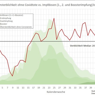 Telegram profile photo for Übersterblichkeit BRD 2021