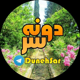 Telegram profile photo for کانال دونه سر