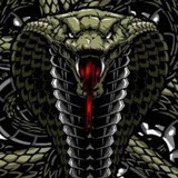 Telegram profile photo for MoonRockCalls - The Cobra