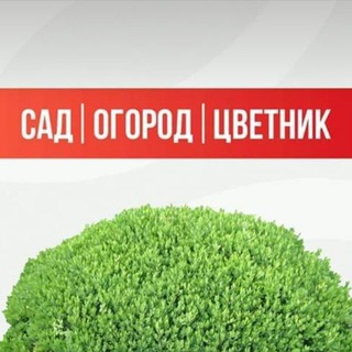 Telegram profile photo for Сад Огород Цветник
