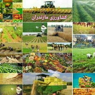 Telegram profile photo for گروه کشاورزان شمال
