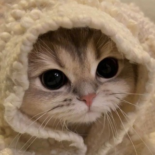 Telegram profile photo for ChangeLog Инжир'а