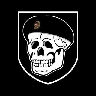 Telegram profile photo for Медиа ресурс «Black Berets»