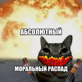 Telegram profile photo for Новости-хуёвости фром Котяра