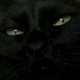 Telegram profile photo for My Posings