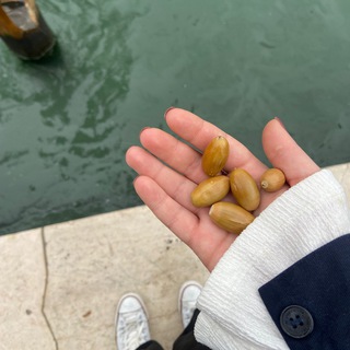 Telegram profile photo for веницейские письма 🐚