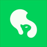Telegram profile photo for Skeelo