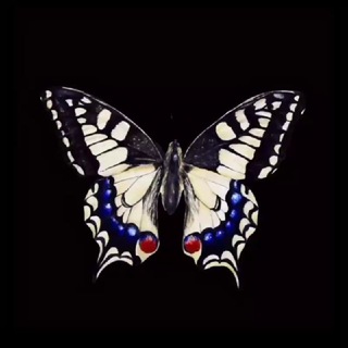 Telegram profile photo for 𝒫𝒜ℛ𝒱𝒜𝒩ℰ🦋🫧
