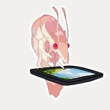 Telegram profile photo for _IR.R_life