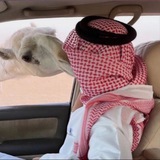 Telegram profile photo for ⸂ ᷂العضيـّلة♩