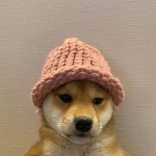 Telegram profile photo for $Chichi wifhat | Portal